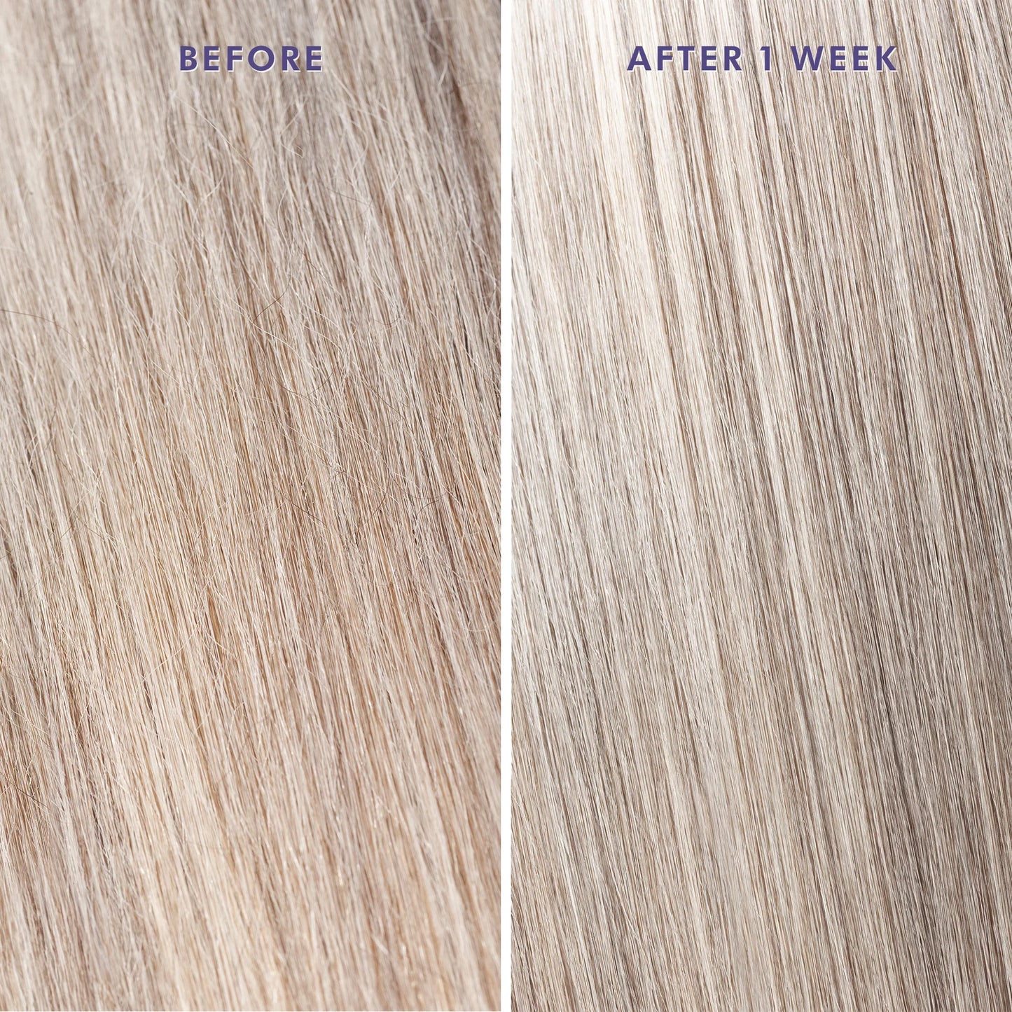 MOROCCANOIL Treatment Purple